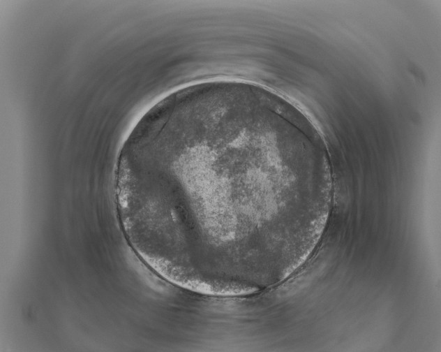 X0000111601532200908131352