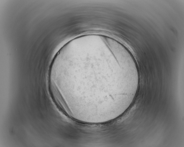X0000111601533200908131352