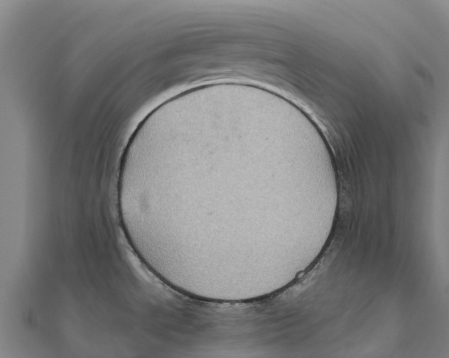 X0000111601534200908131352