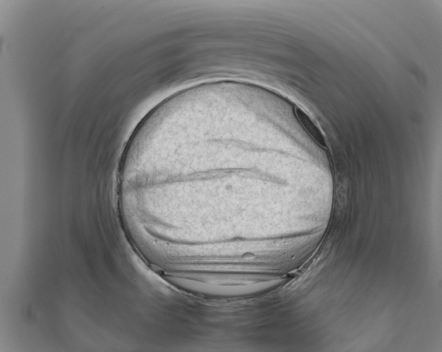 X0000111601535200908131352