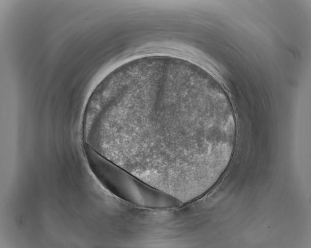 X0000111601536200908131352