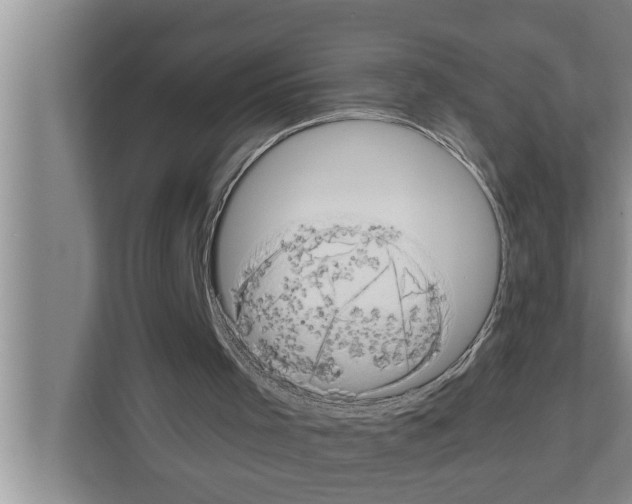 X0000111600001200908271018