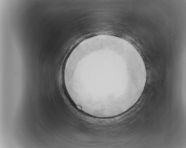 X0000111600002200908271018
