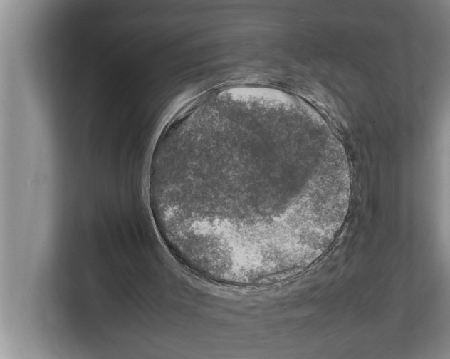 X0000111600003200908271018