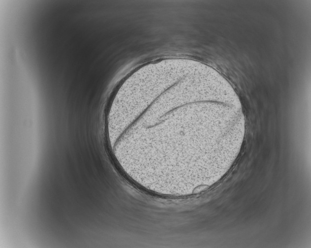 X0000111600005200908271018