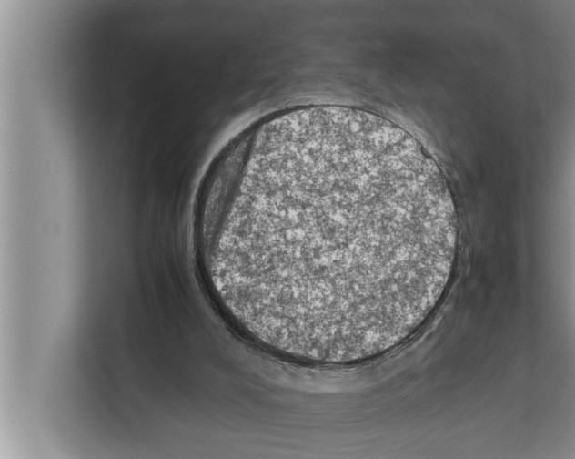 X0000111600008200908271018