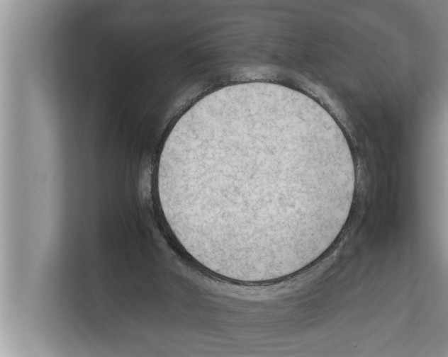 X0000111600010200908271018