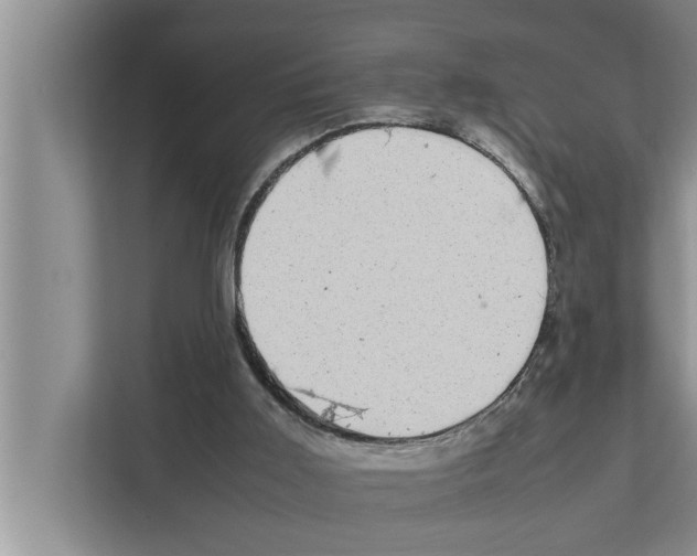 X0000111600011200908271018