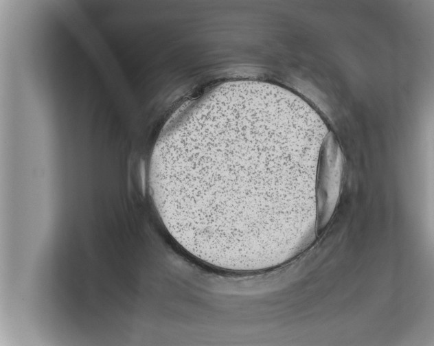 X0000111600013200908271018
