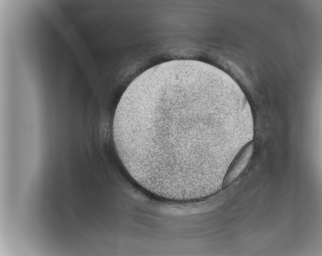 X0000111600017200908271018