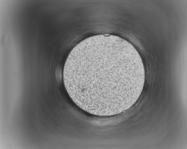 X0000111600021200908271018