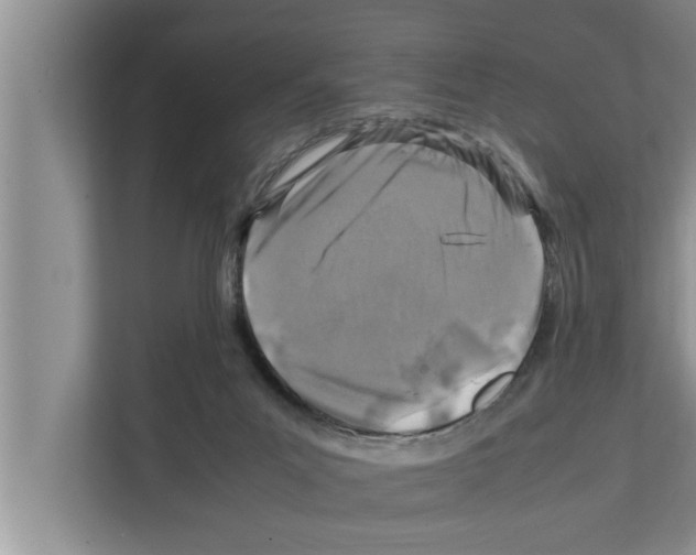 X0000111600023200908271018
