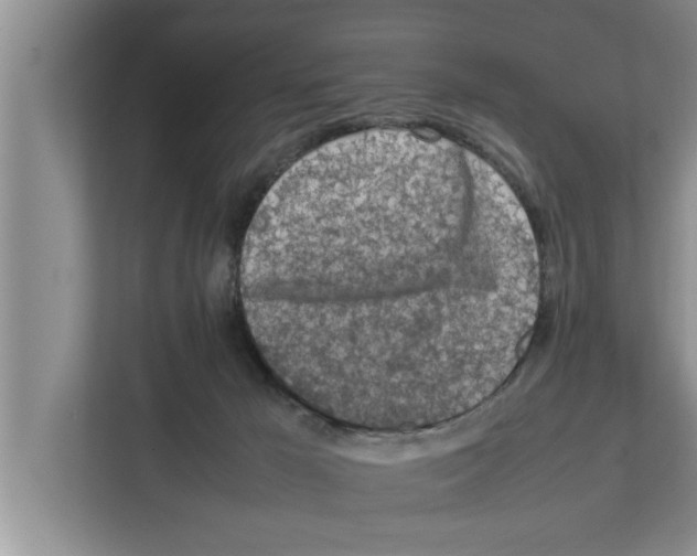 X0000111600029200908271018