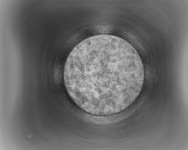 X0000111600030200908271018