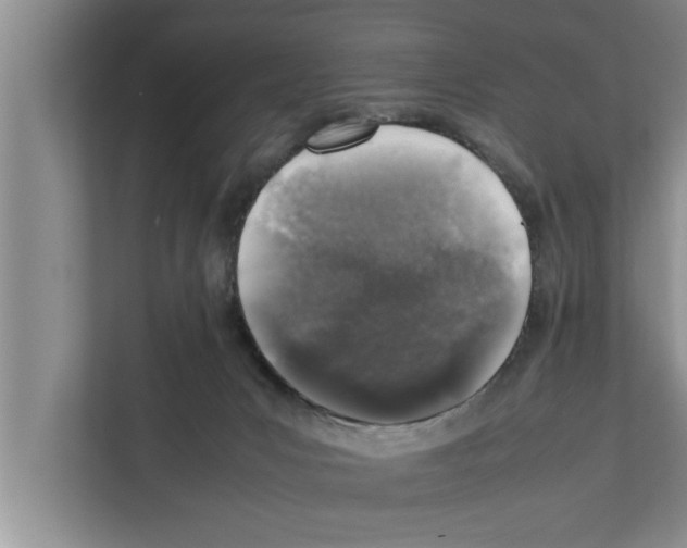 X0000111600031200908271018