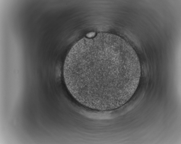 X0000111600032200908271018