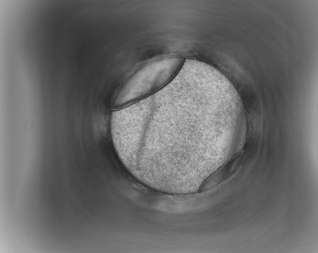 X0000111600033200908271018