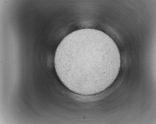 X0000111600034200908271018
