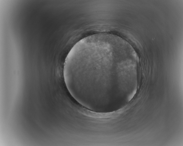 X0000111600035200908271018