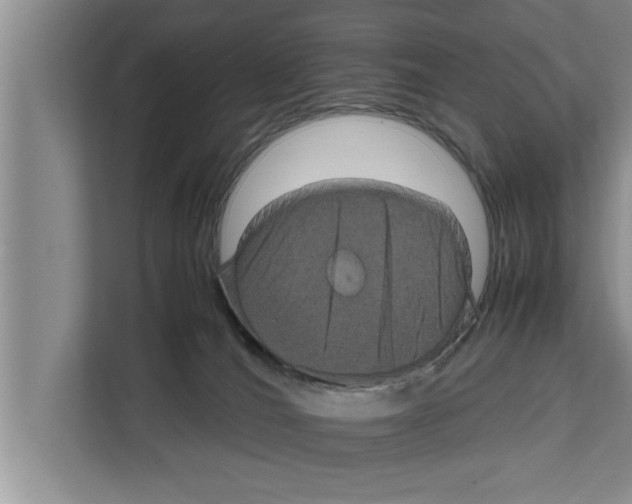X0000111600036200908271018