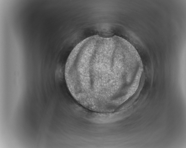 X0000111600037200908271018