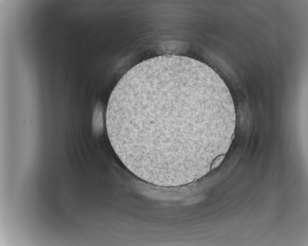 X0000111600042200908271018