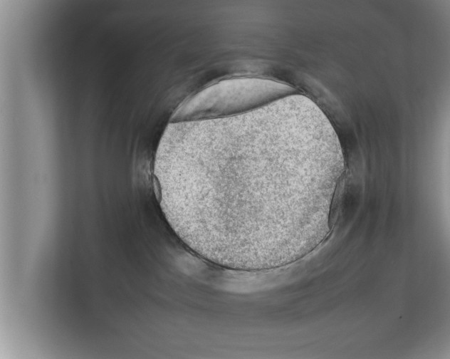 X0000111600045200908271018