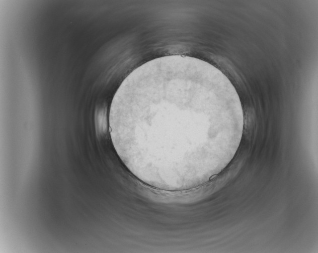X0000111600046200908271018