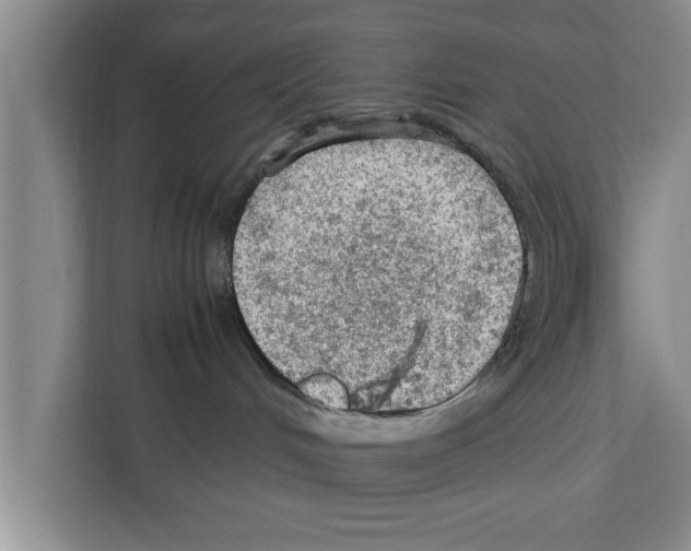 X0000111600048200908271018