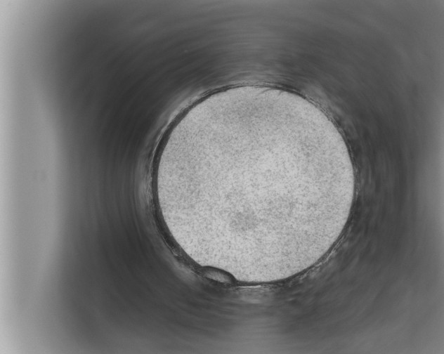 X0000111600050200908271017