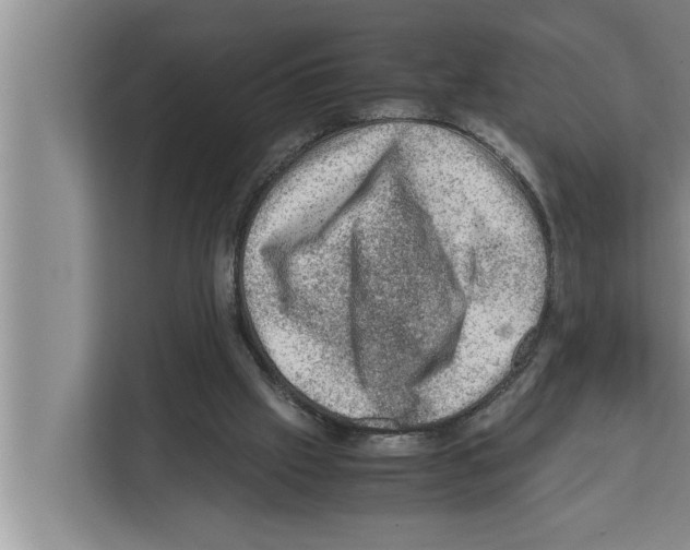 X0000111600057200908271017