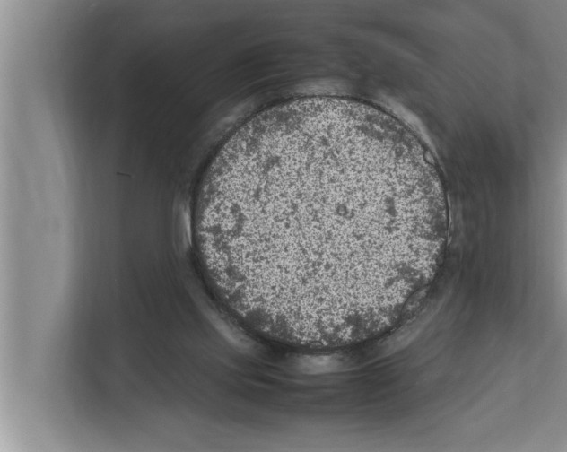 X0000111600061200908271017