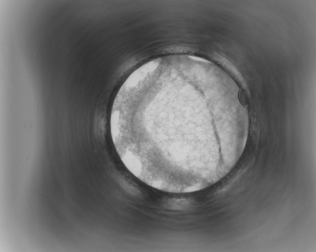 X0000111600063200908271017