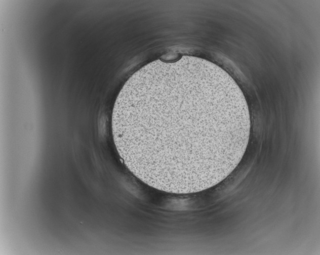 X0000111600071200908271017
