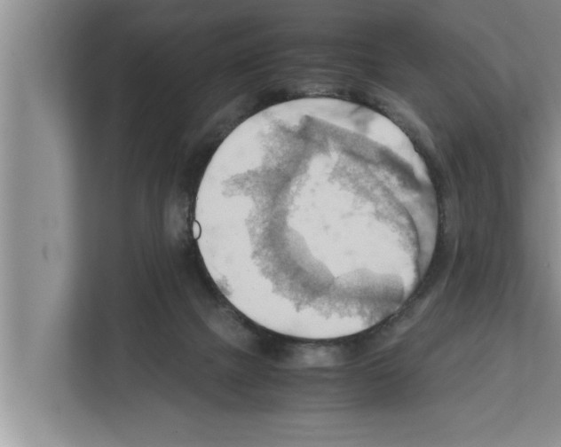 X0000111600073200908271017