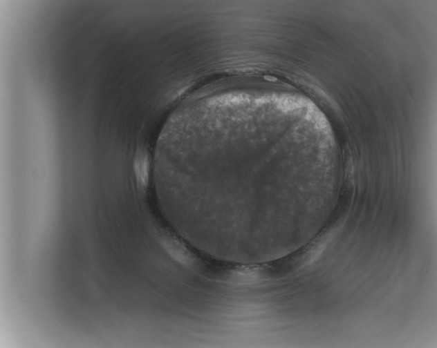X0000111600076200908271017