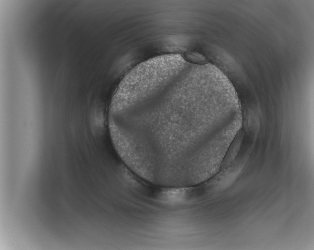 X0000111600084200908271017