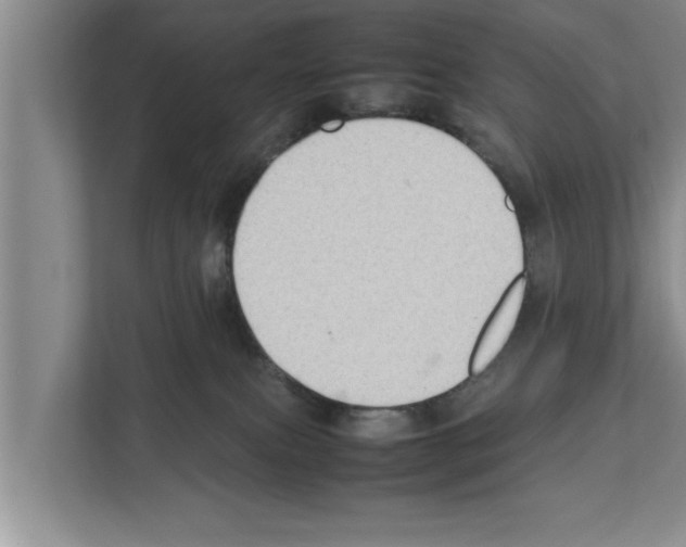 X0000111600087200908271017