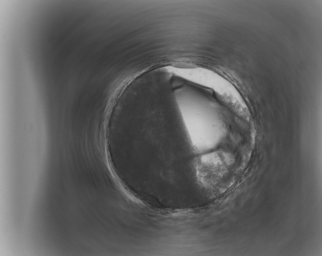 X0000111600097200908271017