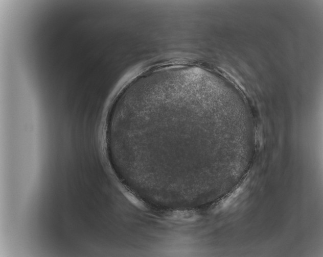 X0000111600101200908271017