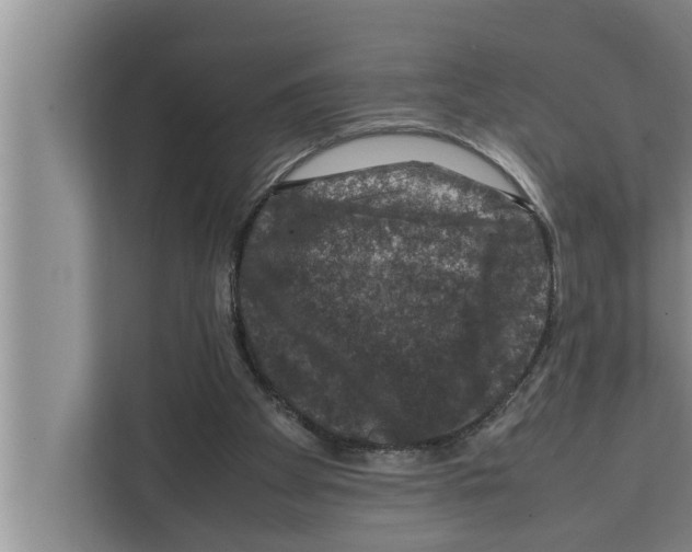 X0000111600105200908271017