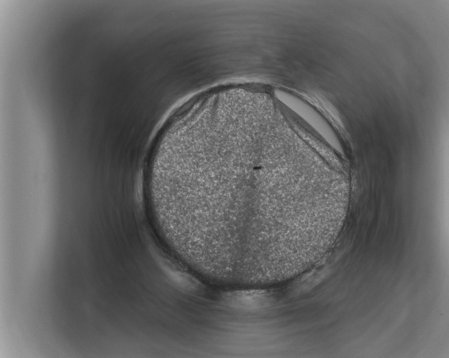 X0000111600108200908271017