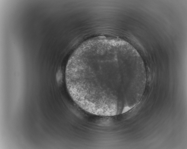 X0000111600124200908271017
