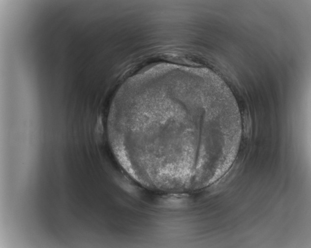 X0000111600128200908271016