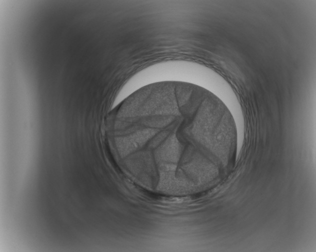 X0000111600129200908271016