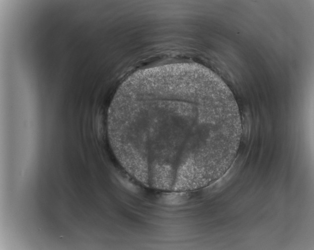 X0000111600136200908271016