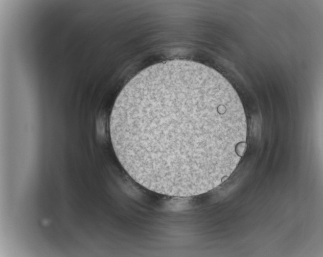 X0000111600138200908271016