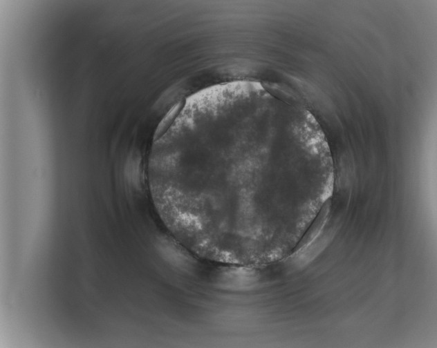X0000111600140200908271016