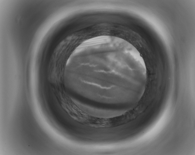 X0000111600143200908271016