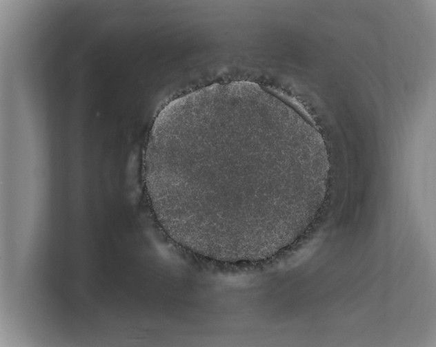 X0000111600144200908271016